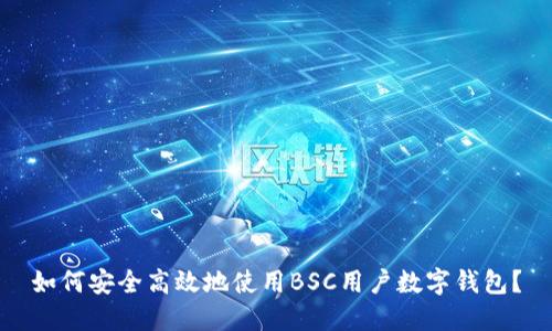 如何安全高效地使用BSC用户数字钱包？