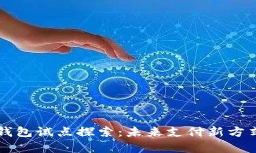 广州市数字钱包试点探索：未来支付新方式的全景分析