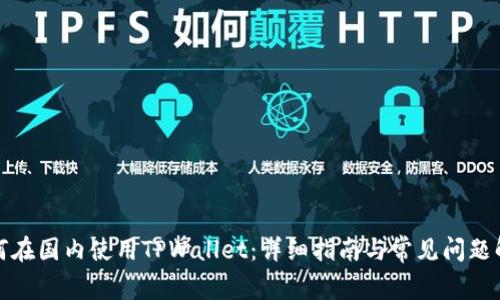 如何在国内使用TPWallet：详细指南与常见问题解答