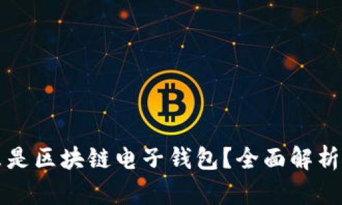 ### 什么是区块链电子钱包？全面解析与应用案例