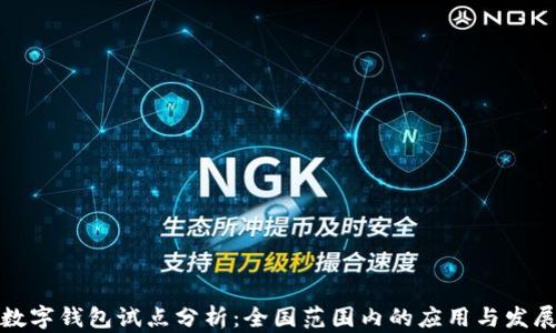 
数字钱包试点分析：全国范围内的应用与发展