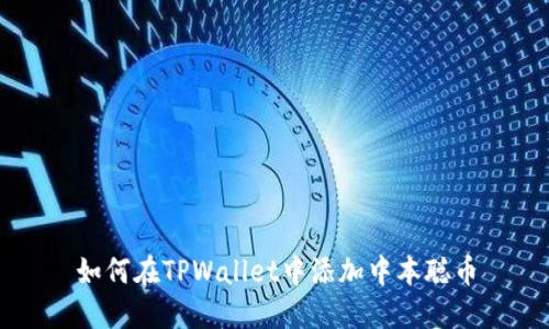如何在TPWallet中添加中本聪币