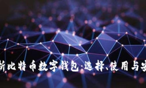 全面解析比特币数字钱包：选择、使用与安全策略