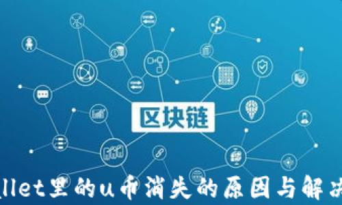 
tpwallet里的u币消失的原因与解决方案