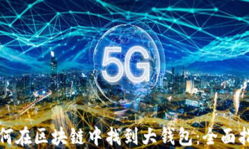 
如何在区块链中找到大钱包：全面指南