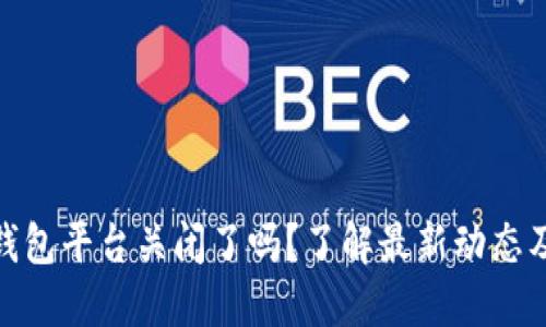 数字钱包平台关闭了吗？了解最新动态及影响