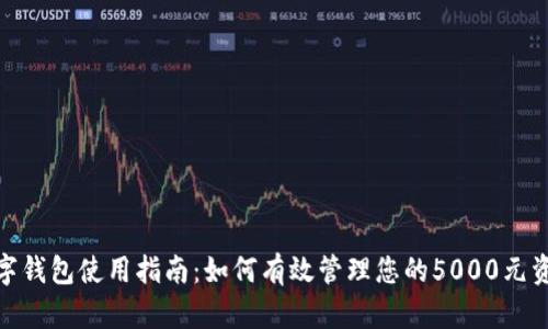 数字钱包使用指南:如何有效管理您的5000元资金