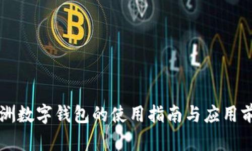 非洲数字钱包的使用指南与应用前景