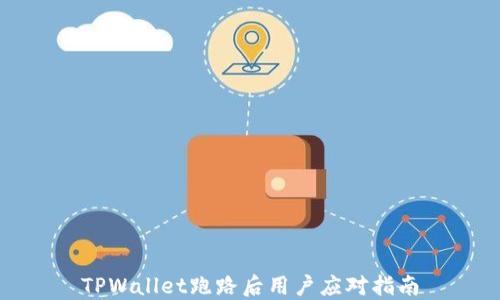 
TPWallet跑路后用户应对指南