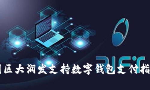 园区大润发支持数字钱包支付指南