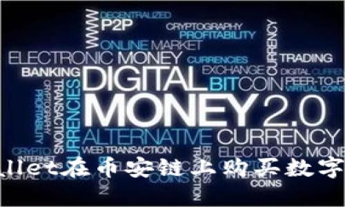 如何通过TPWallet在币安链上购买数字货币：详细指南