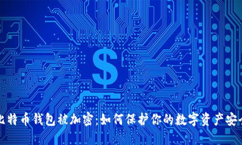 比特币钱包被加密:如何保护你的数字资产安全