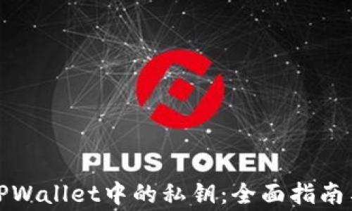 
如何查看TPWallet中的私钥：全面指南与注意事项