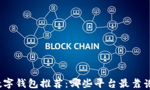 数字钱包推荐:哪些平台最靠谱?
