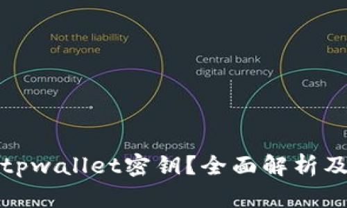 如何找回tpwallet密钥?全面解析及应对方案