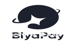 如何在TP Wallet中设置Gas费