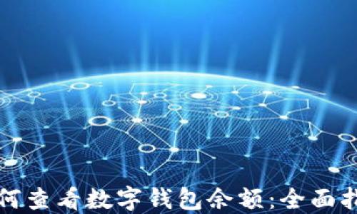 
如何查看数字钱包余额：全面指南