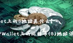 TPWallet上的B地址是什么？