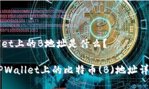 TPWallet上的B地址是什么？

biatiTPWallet上的比特币(B)地址详细指南